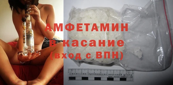 стаф Алзамай