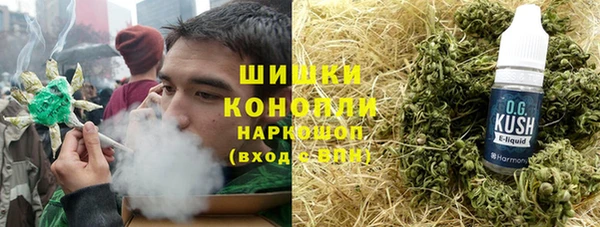 стаф Алзамай