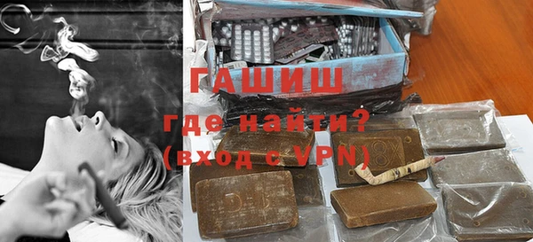 стаф Алзамай