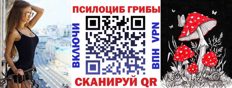 закладка Чишмы Галлюциногенные грибы Psilocybine cubensis